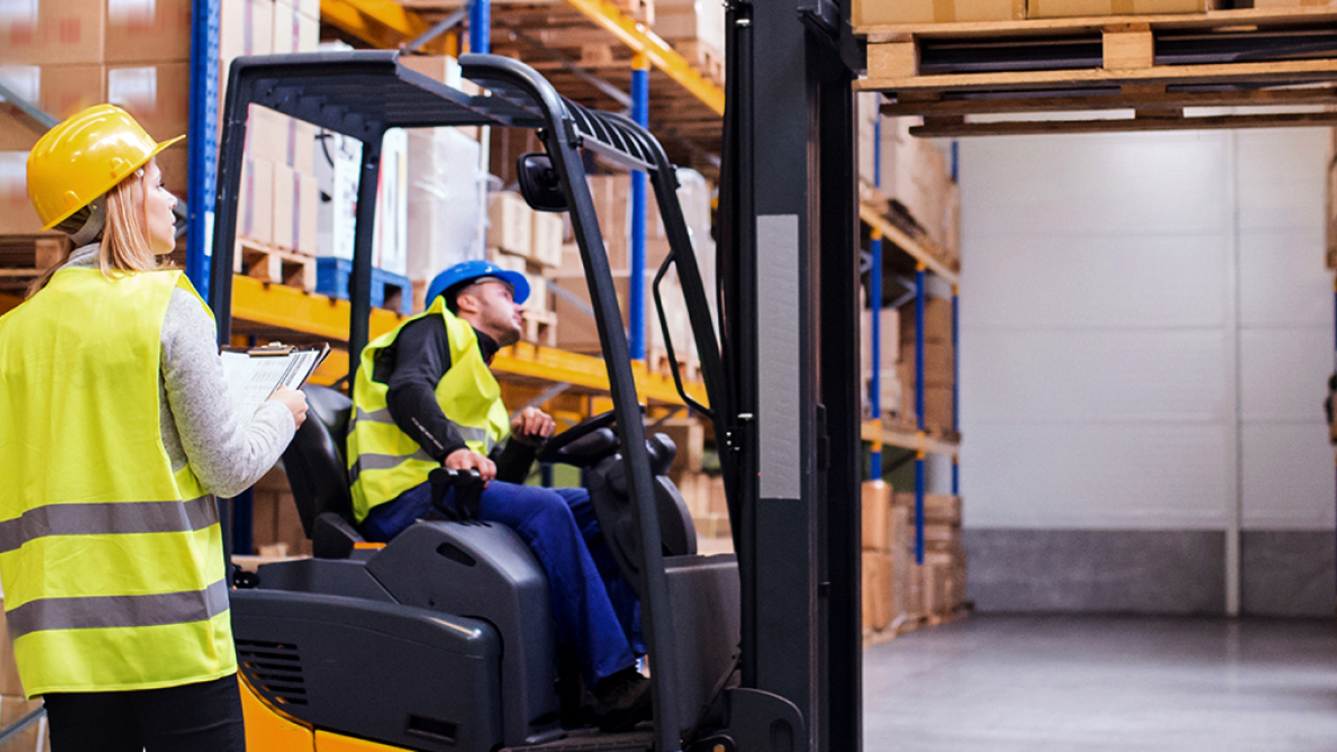 Snell Packaging moves to BigCommerce | Terabyte Interactive